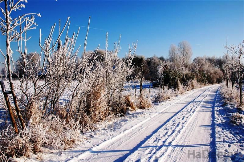 090109-wvdl-winter in HaDee _50_.JPG